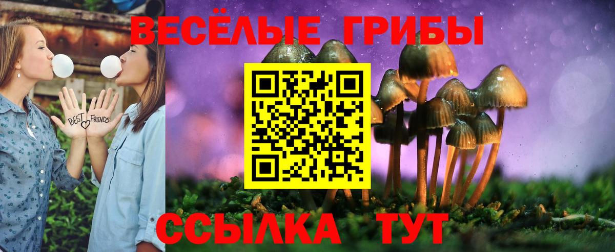 Псилоцибиновые грибы Magic Shrooms Бузулук